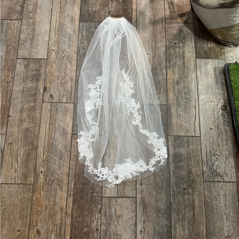 Veil​​ - Picture 9 of 10